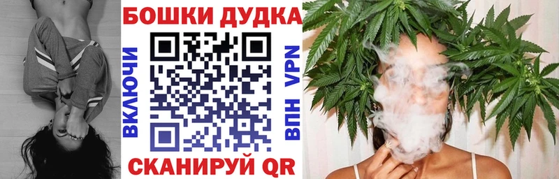 Бошки Шишки ГИДРОПОН  Купить закладки  Кировград 
